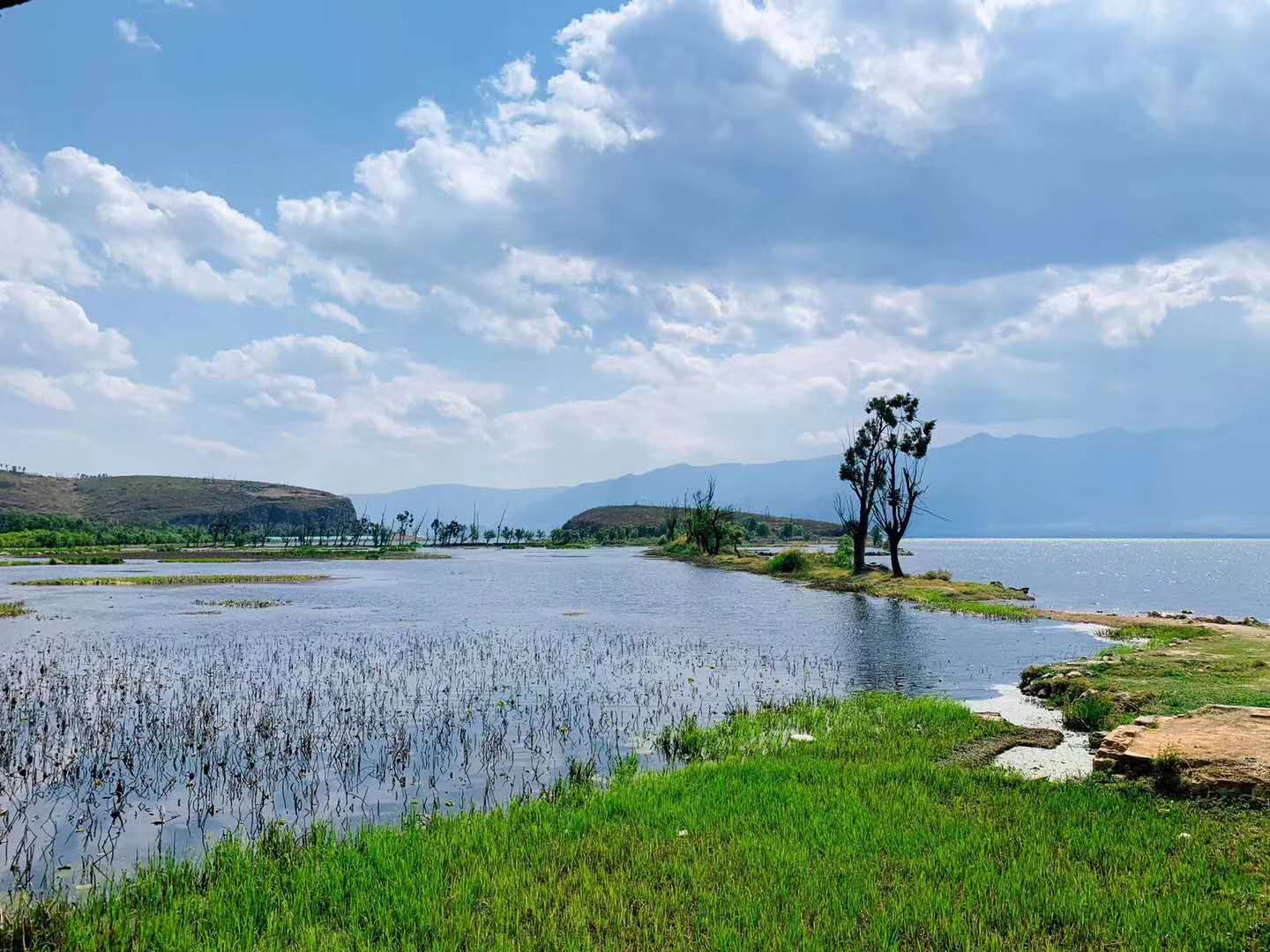 會(huì)展 會(huì)展