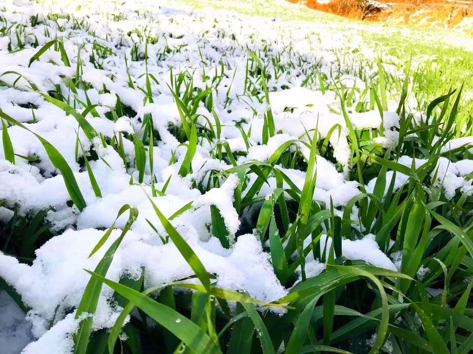 會(huì)展 會(huì)展