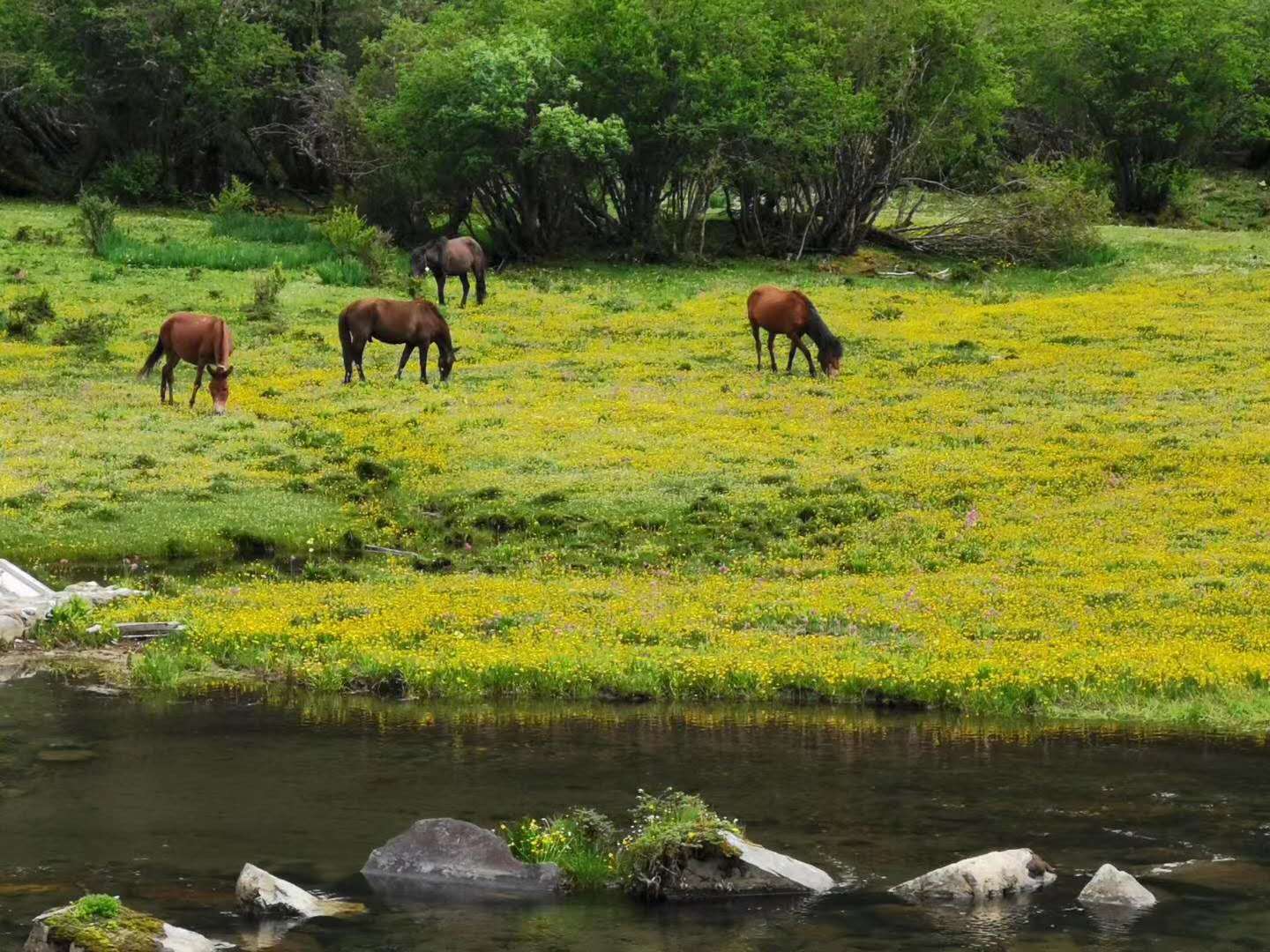 研學的重要意義，對研學的各項探索都怎么進行的