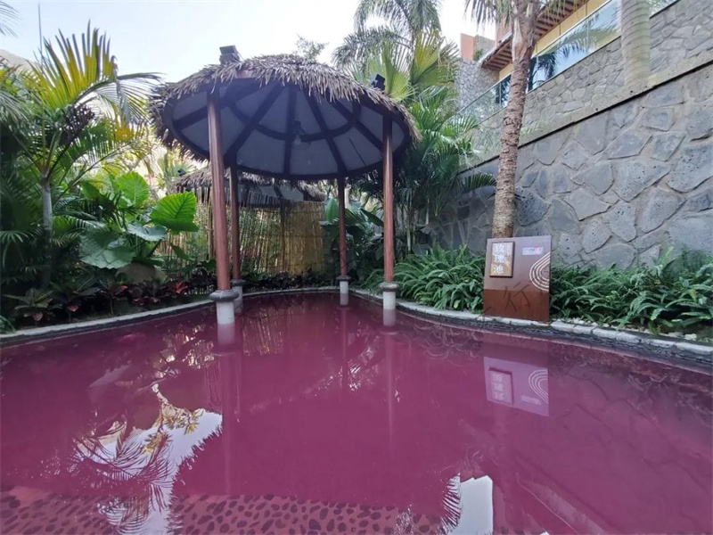 登埂溫泉酒店 登埂溫泉酒店